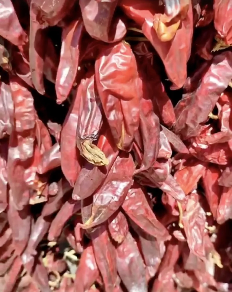 Poivrons rouges séchés pour la harissa de Tounsi Traiteur